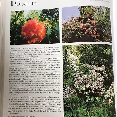 Pensión Il Giardorto 3*