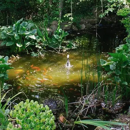 Casa de hóspedes Il Giardorto Casalini (Perugia)