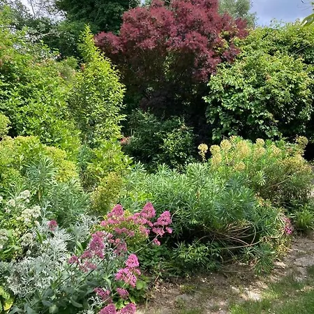 Il Giardorto Casalini (Perugia)