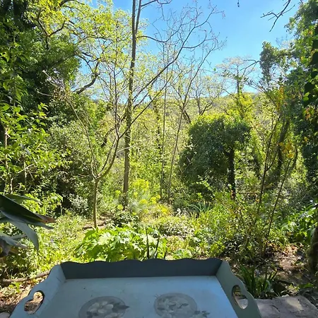 Il Giardorto 3*