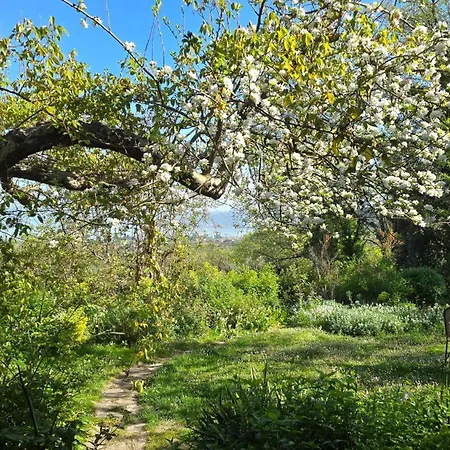 Il Giardorto 3*