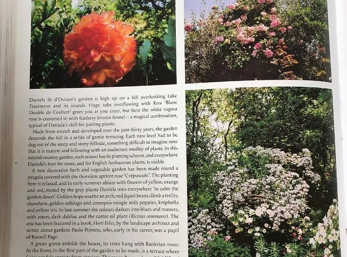 Casa de hóspedes Il Giardorto 3*